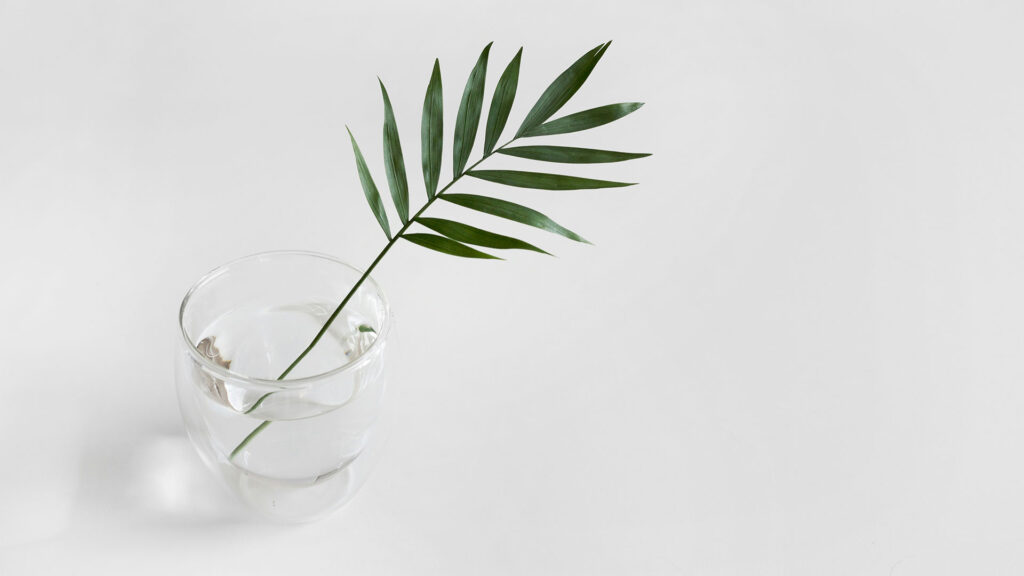 Aromatherapy: The Science Behind Essential Oils and Relaxation